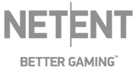 Evolution Gaming partner logo